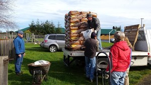 The Community Organic Gardens of Sequim at the Fir Street garden