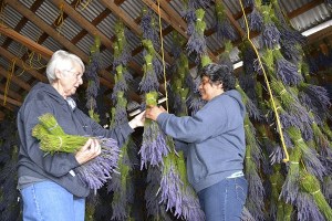 Barb Landbeck and Maribel Gonzalez