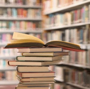 Off the Shelf: Books that buzzed in 2015