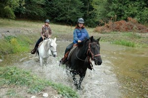 Two local horsewomen