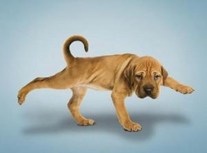 Business News - April 8, 2015