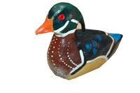 Lilly Allen’s wood duck