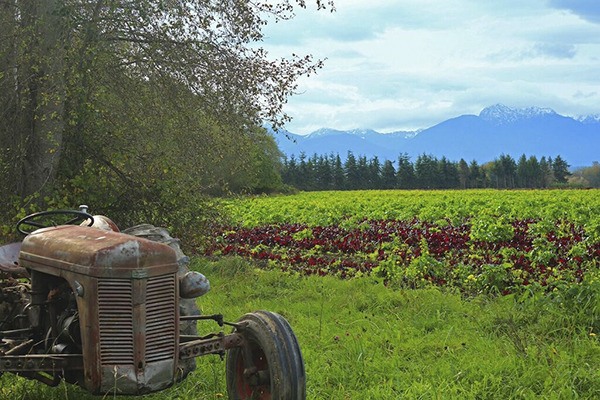 North Olympic Land Trust was awarded $344