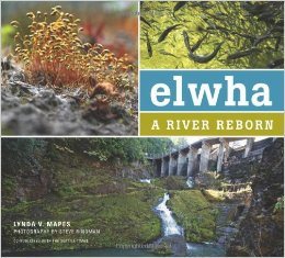 Port Angeles library to feature Burke Museum's Elwha Exhibit