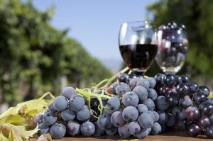 Annual wine tour slated for Nov. 7-8