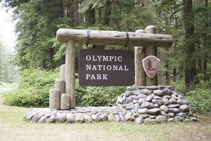 Park fees go up for day use, camping