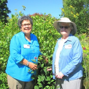 Veteran Master Gardeners Barbara Heckard and Sally Tysver share their years of experience and expertise harvesting and using herbs from their gardens at 10 a.m. Saturday