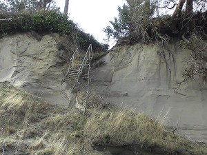 Landowner workshop about shoreline erosion slated