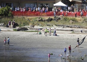 Visitors and locals enjoy time at Hollywood Beach in Port Angeles in early June during the North Olympic Discovery Marathon. Detection of bacteria has led county officials to close the beach to wading and swimming.