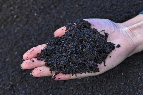 Resourceful Biochar is the next topic for Sequim’s Science Café