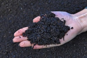 Resourceful Biochar is the next topic for Sequim’s Science Café