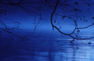 “When All is Said and Done” by Jan Kepley. Kepley’s photographs are on display at 1st Security Bank