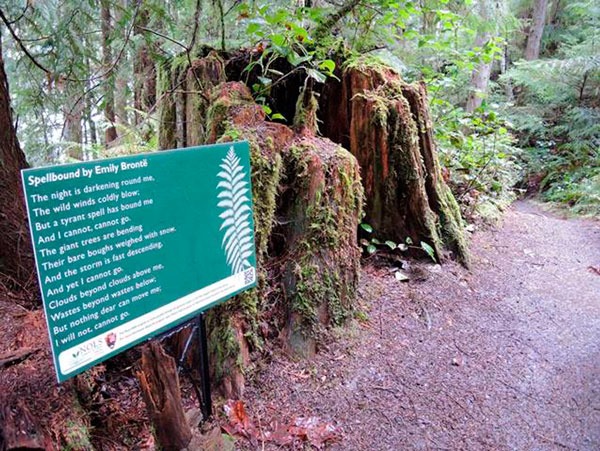 Celebrate National Poetry Month (April) with NOLS Poetry Walks.