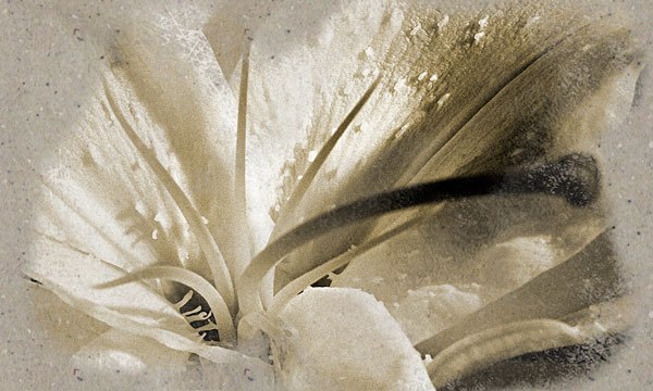 “Reach For It” photography