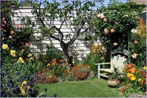 Get It Growing: Creating your ‘Dream Scene’