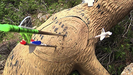 P.A. club archers host 3-D ‘Fun Shoot’