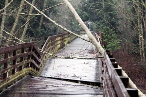 High flow conditions and large debris