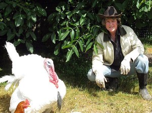 Nash’s Farm Store hosts Vicki Miller