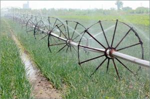 Clallam tagged a ‘Primary Natural Disaster Area’