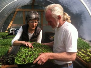 New to the Sequim Farmers Market is Itsy Bitsy Greens