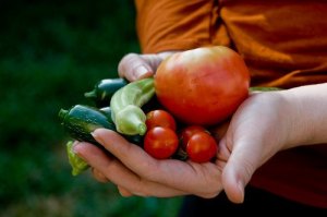 Tickets on sale now for 16th Harvest Dinner