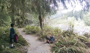 Junior Rangers visit the Hoh Rainforest during a Boys & Girls Clubs of the Olympic Peninsula summer outing in 2015.