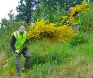 Gretha Davis of Sequim won dinner for two at Wildfire Grill in Port Angeles winning the scotch broom photo contest.