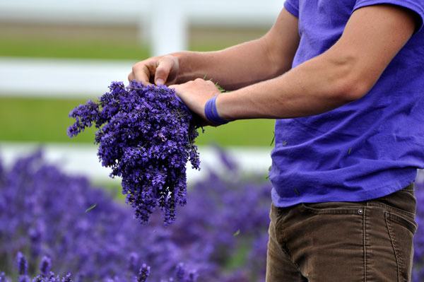 Thanks to a warmer year