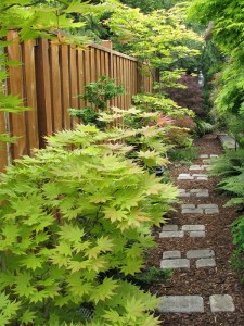 Nadine Snover’s Hidden Serenity Garden on Rook Drive is part of the tour this year.