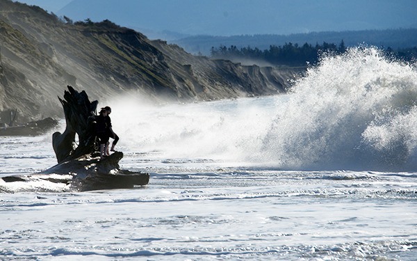 Contributor Bob Weeks spotted two visitors to the Dungeness Spit standing tall against crashing waves in April of last year.
