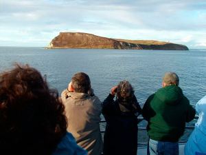 Visitors can see an array of birds via boat during BirdFest.