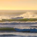 Robert Steelquist shares introductory information to six ecosystems in the Pacific Northwest &mdash; coastal forests, rocky shores and tide pools, sand beaches, nearshore, rivers and estuaries. Photo by Robert Steelquist