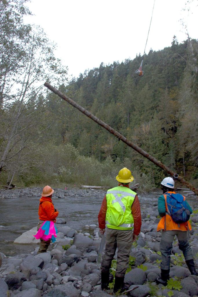 &ldquo;We want to help out the imperiled fish a bit,&rdquo; said the tribe&rsquo;s habitat program manager. (Tiffany Royal/Northwest Indian Fisheries Commission )