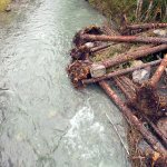 An aerial view of one of the logjams. (Hilton Turnbull)