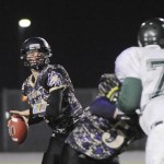 Prep sports: Wolves pepper all-Olympic League list