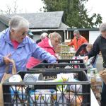 Volunteers, from left, Carol Wells, Stacey Gary, Jim McCauley and Ken Orth pack cranberries, sweet potatoes, canned fruit and vegetables and stuffing into bags for residents at the Sequim Food Bank. Stephen Rosales, board president for the food bank, said anyone who needs a turkey and/or meal for Thanksgiving can come Friday, Saturday and/or Monday. Sequim Gazette photos by Matthew Nash