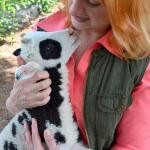 New shop promotes organic goods