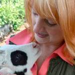 New shop promotes organic goods