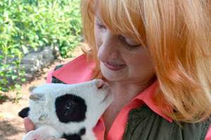 New shop promotes organic goods