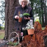 Sedum growing is next Brown Bag series topic, set for Nov. 10