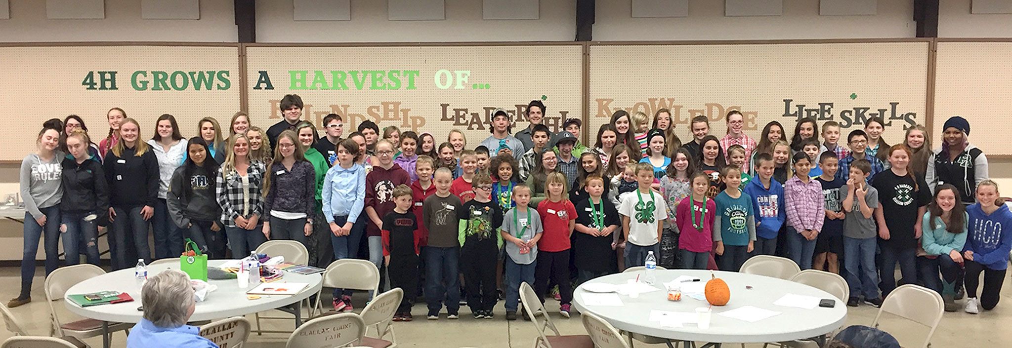 Clallam County 4-H youths win awards, scholarships