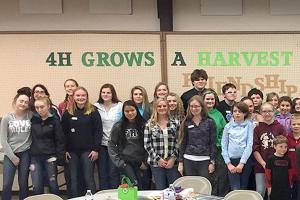 Clallam County 4-H youths win awards, scholarships