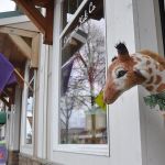 Business: Sequim sets its shopping schedule