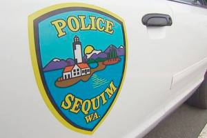 Police blotter: Burglaries, thefts, more