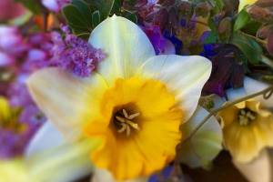 Neque porro quisquam est qui dolorem ipsum quia dolor sit amet, consectetur, adipisci velit