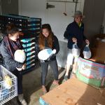 Teens, from left, Ashley Rosales, 14, Katrina Dolan, 16, and Max Koonz, 16, load turkeys for patrons of the Sequim Food Bank on Nov. 19. Sequim Gazette photo by Matthew Nash