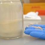 This wood flour is fine dust from wood processing that chemists modified to attract oil, repel water and prevent freezing so that it can more effectively help burn oil in icy conditions. Sequim Gazette photo by Matthew Nash