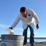 Scientist Robert Jeters, project manager for the Pacific Northwest National Laboratory&rsquo;s aggregator product, applies the product to an oil slick to gauge how much of it is needed to effectively burn the oil out of the water. Sequim Gazette photo by Matthew Nash