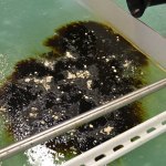 Inside a freezer laboratory at Pacific Northwest National Laboratory, scientists examine a wood product that draws oil slick together in icy conditions for more efficient burns for oil spill situations. Sequim Gazette photo by Matthew Nash