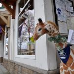 Business: Sequim sets its shopping schedule